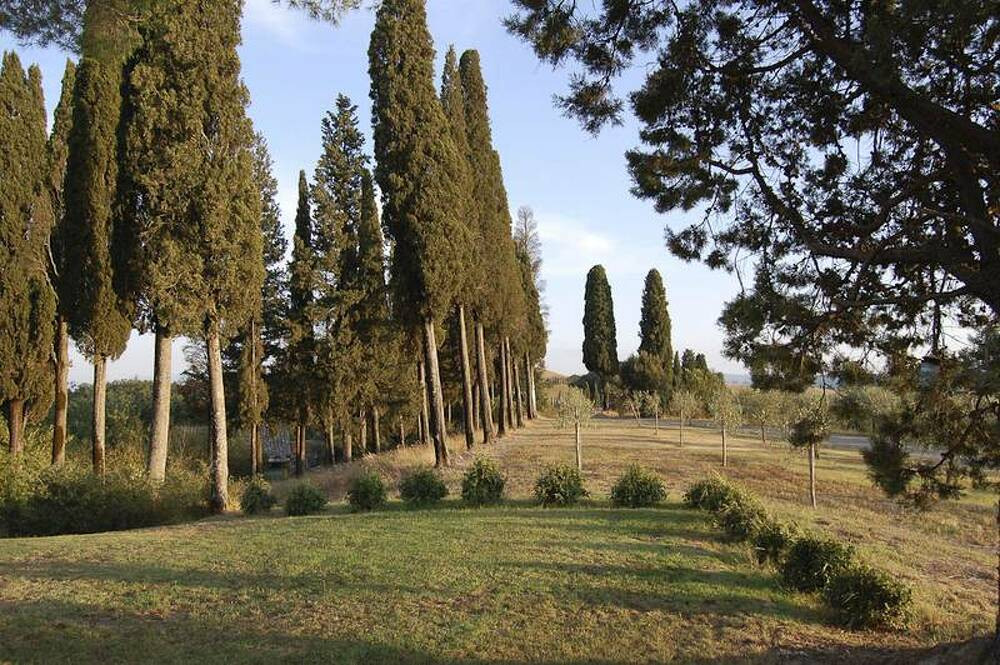 Santo Stefano