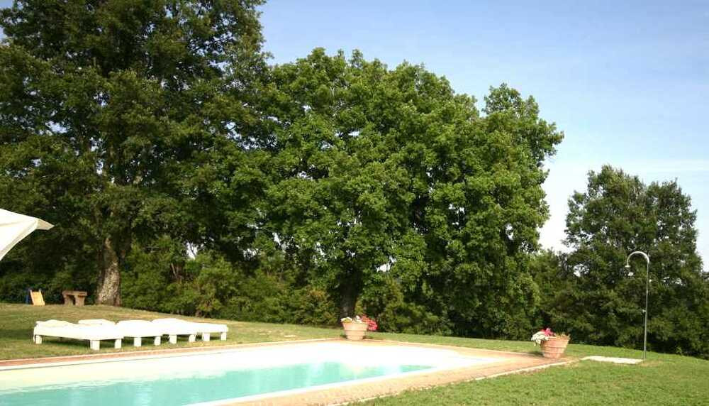 Podere Lupinaio