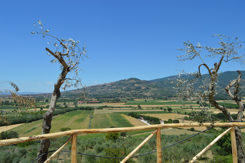Villa Chiara