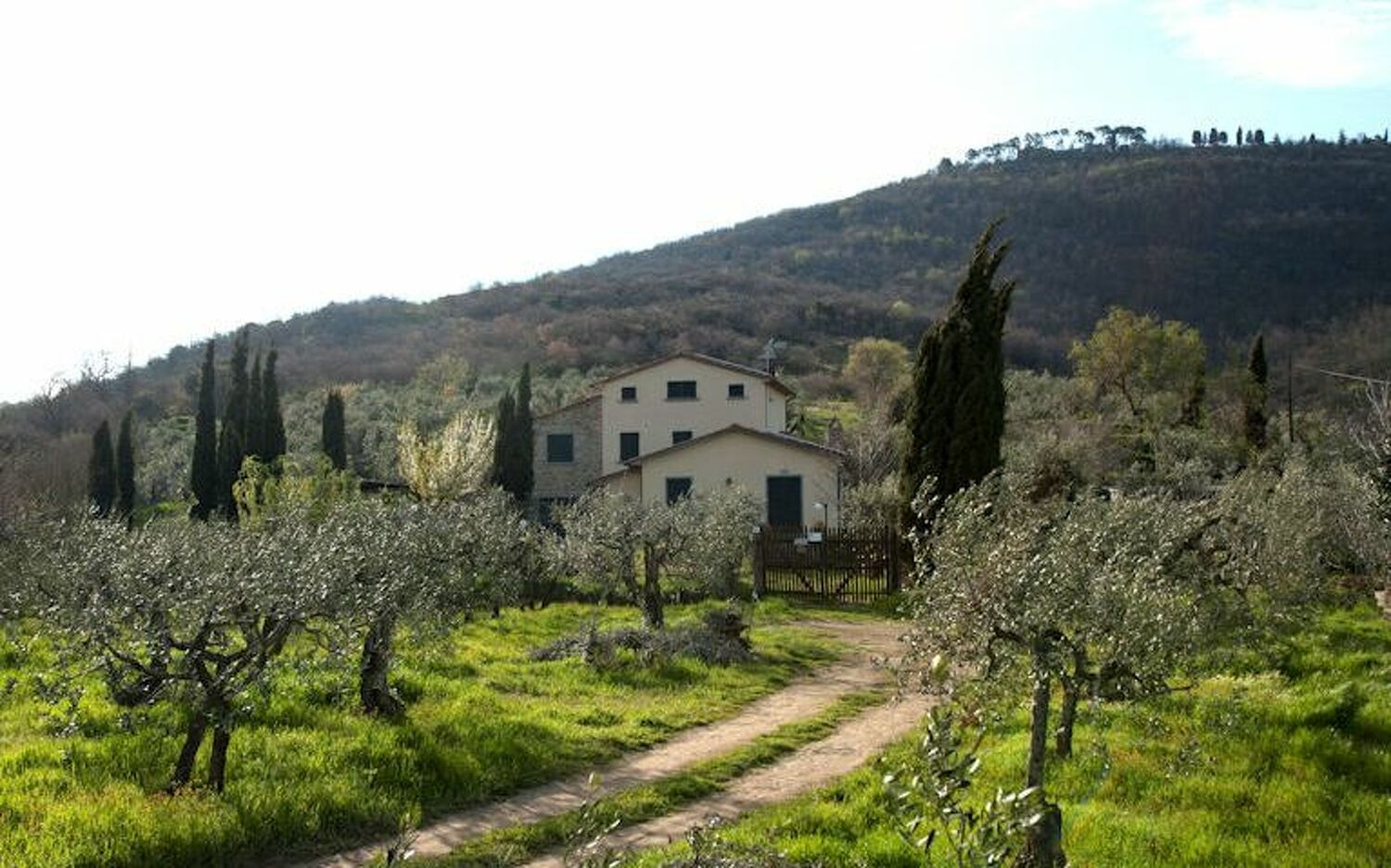 Villa Eleonora