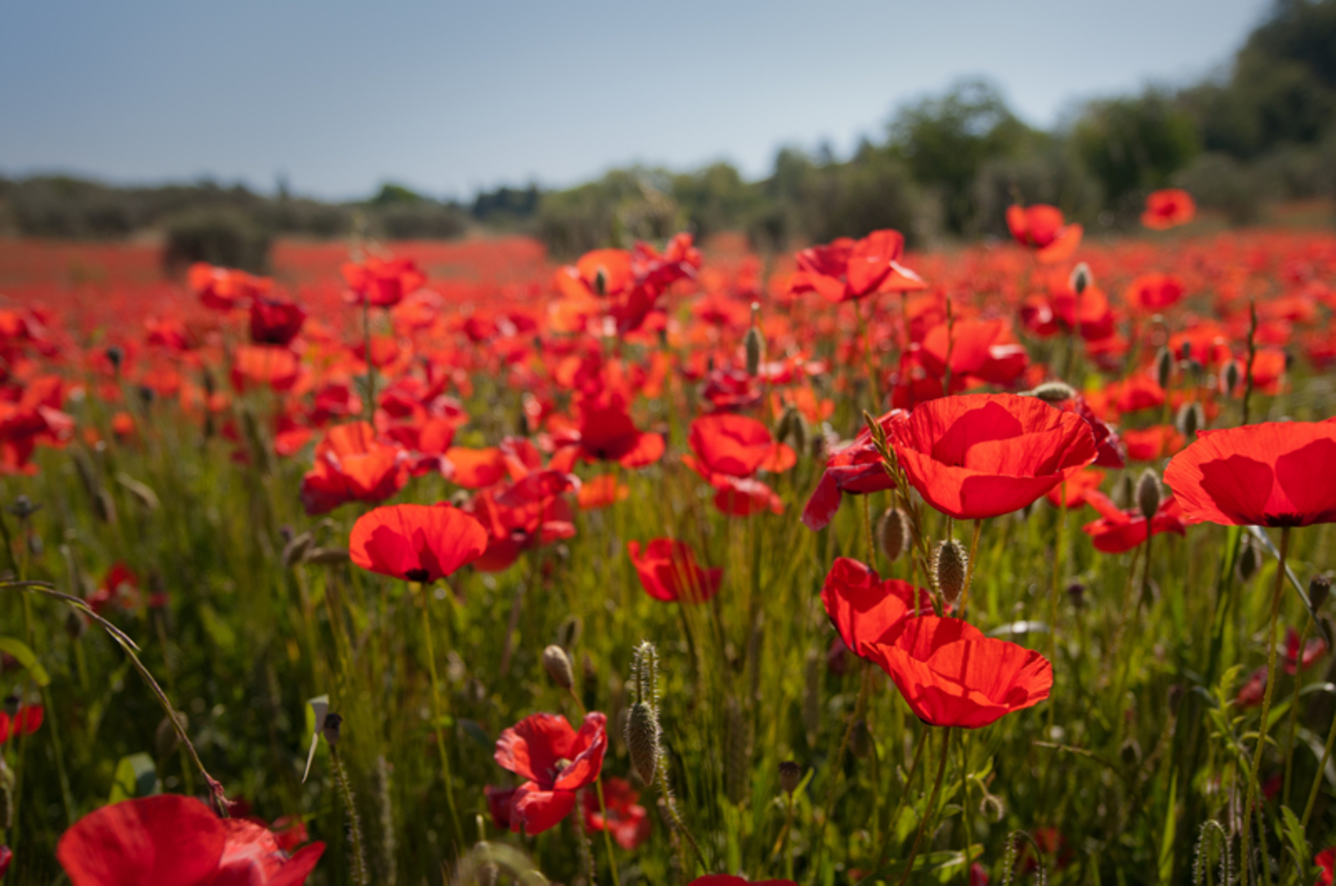 panthermedia_5027133_800x531