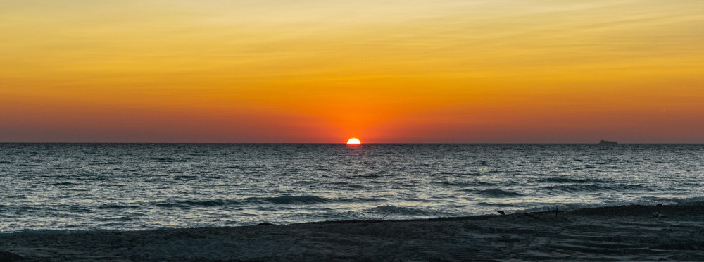 mare