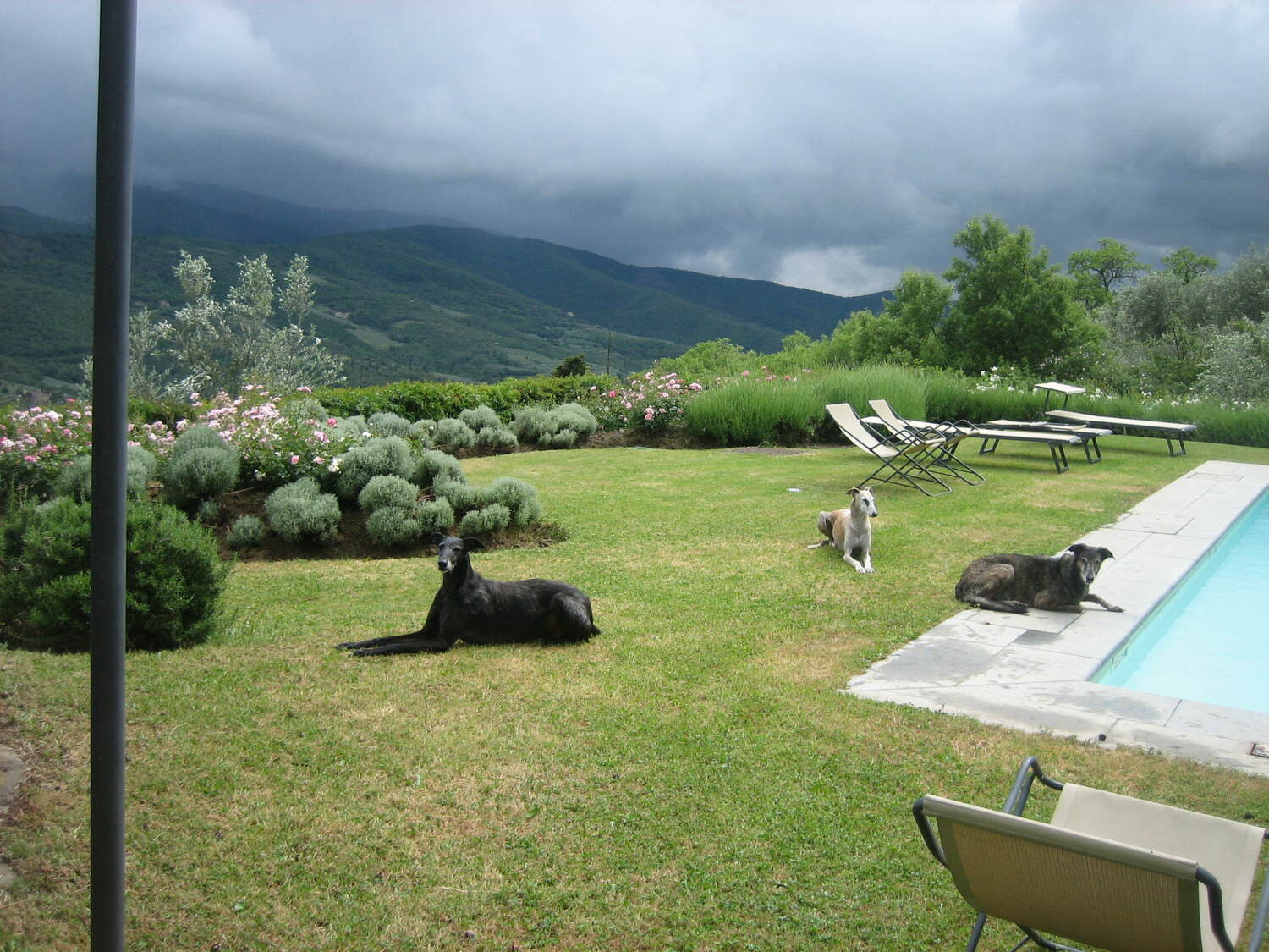 Villa San Martino