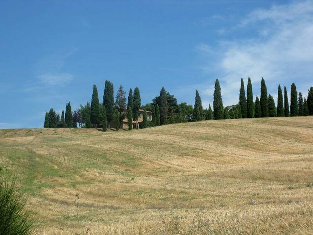 I Vallocchie