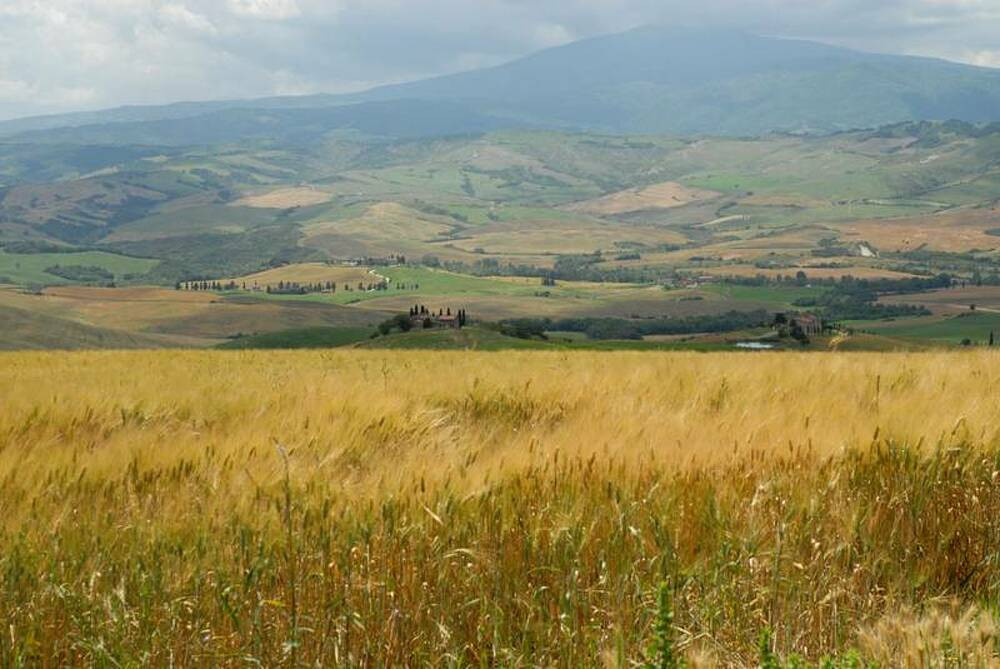 I Vallocchie
