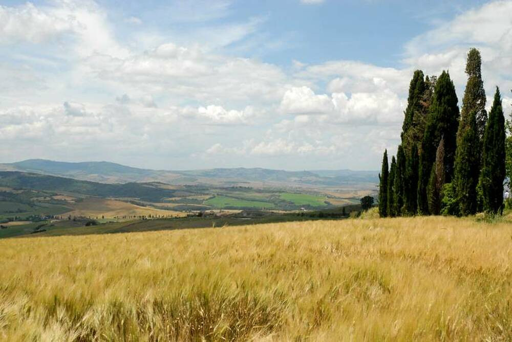 I Vallocchie