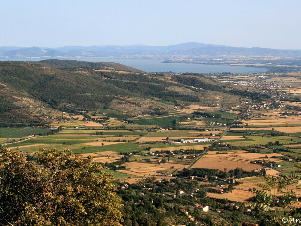 Casa Cristina