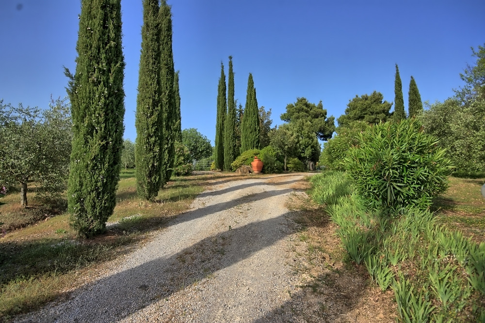 Casa di Betta