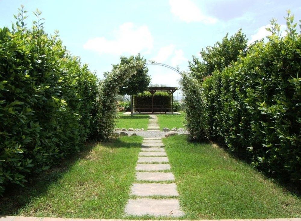 Poggio vento-Libeccio