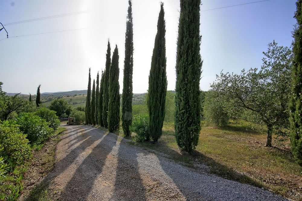 Il Campino
