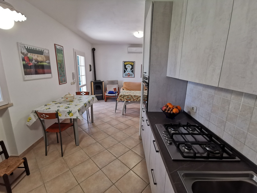 IMG_20230403_154747 4