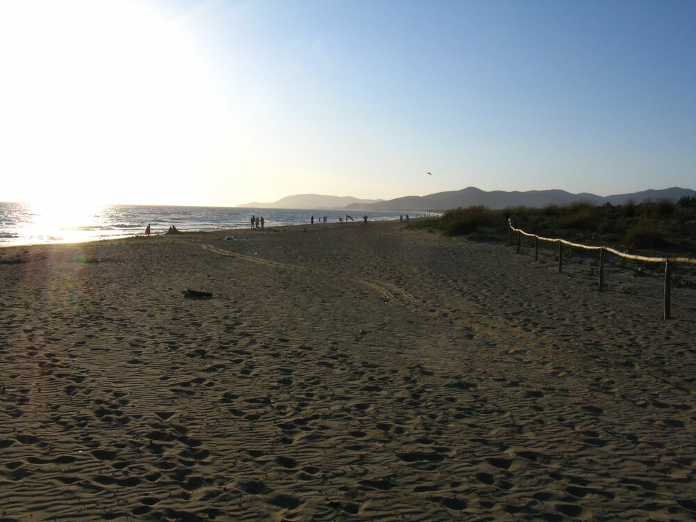 Hundestrand