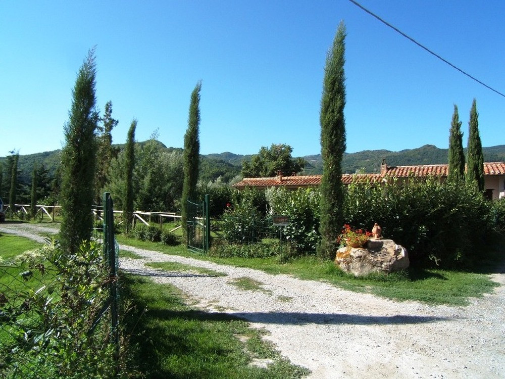 Il Canapaio