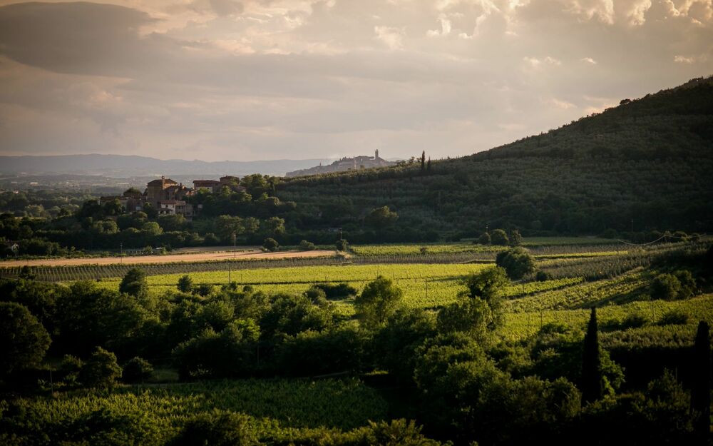 villa-irene-rentintuscany-17- 4