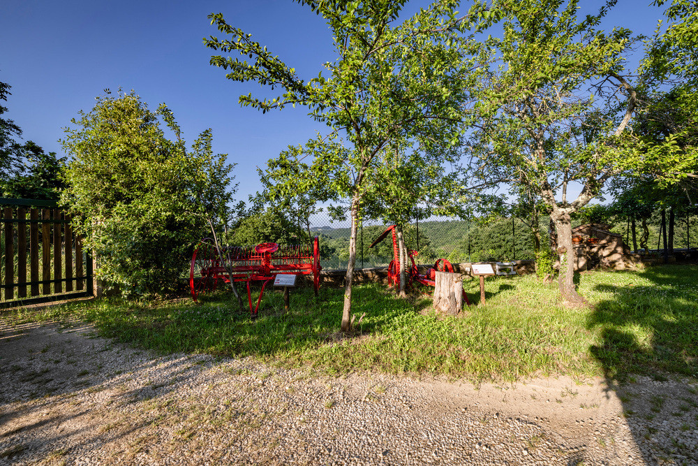 _T0A7893-HDR 43