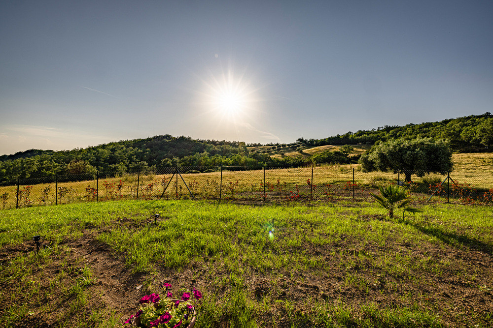 _T0A7893-HDR 48
