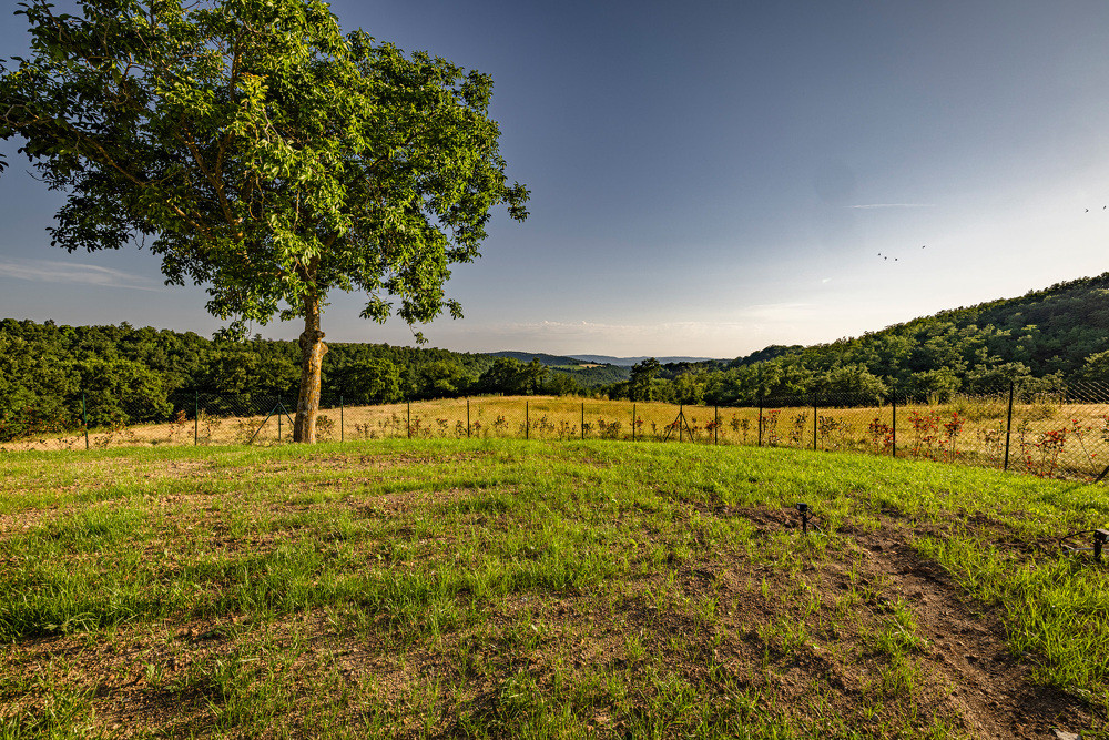 _T0A7893-HDR 49