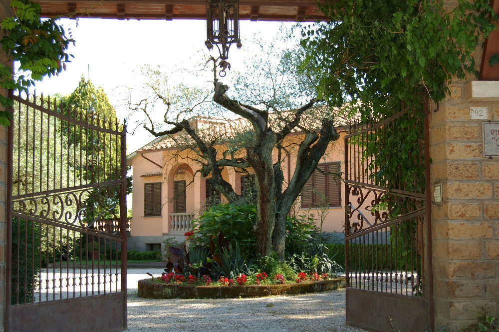 La Tuscia (1) 7