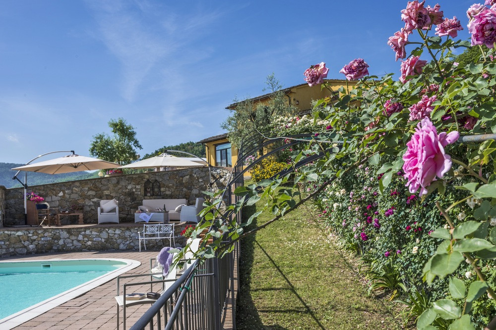 Villa Lucente (1) 9
