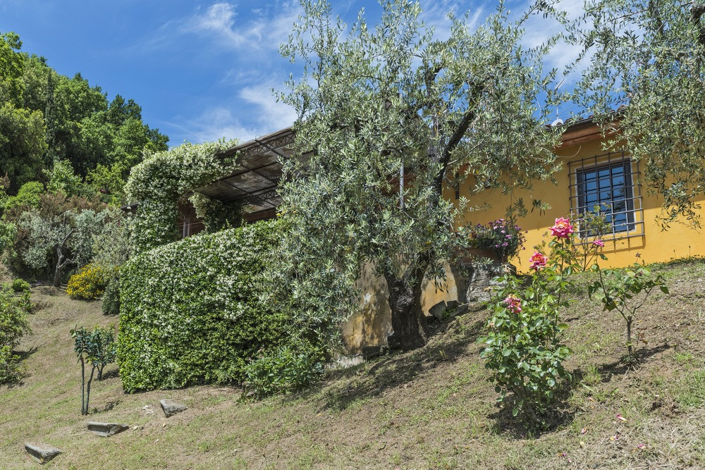 Villa Lucente (13) 10