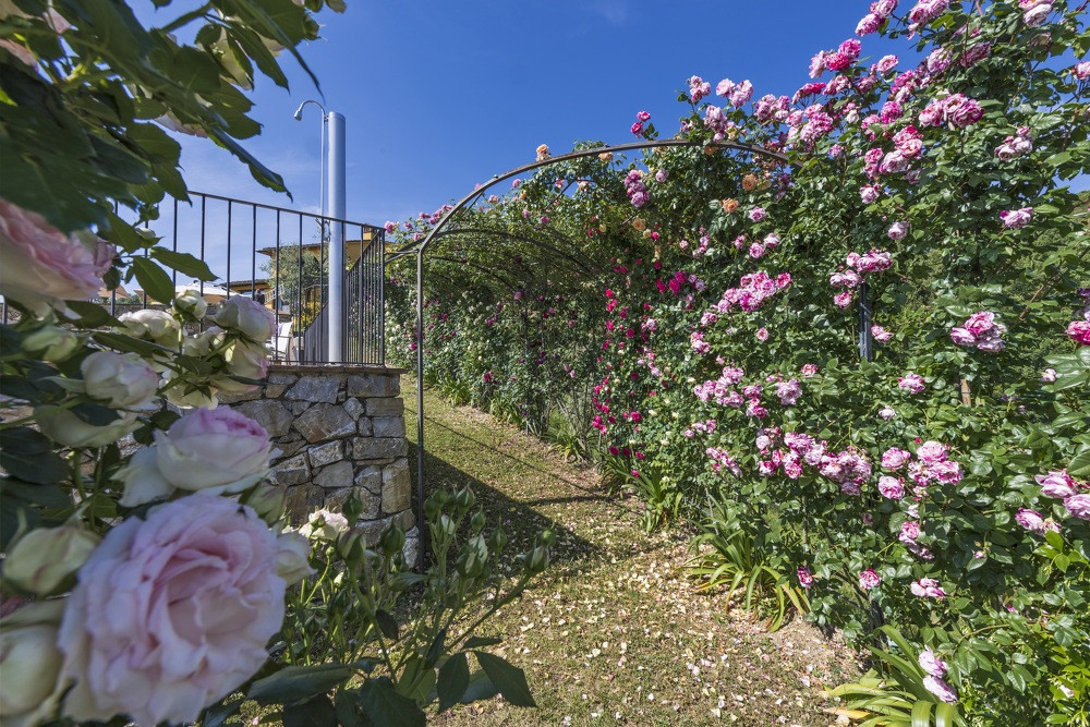 Villa Lucente (1) 40