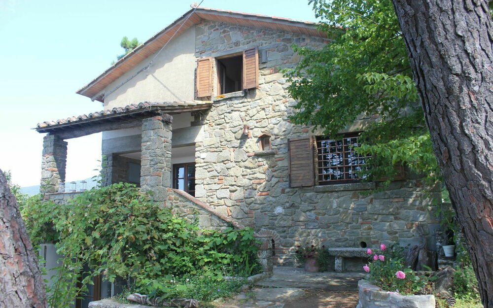 image6 2