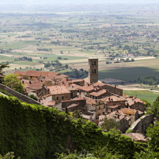 cortona