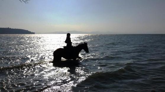 Magie des Trasimeno Sees