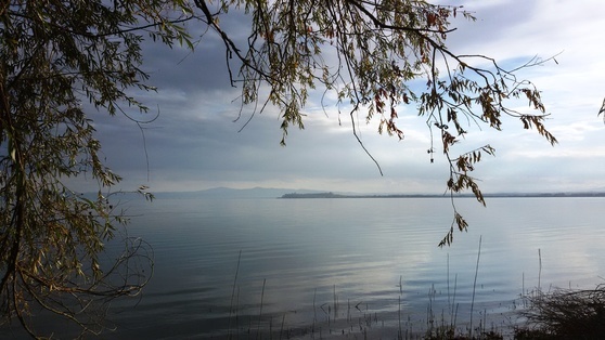 Magie des Trasimeno Sees