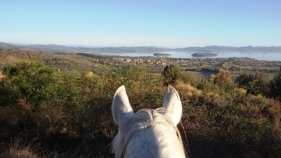 Magie des Trasimeno Sees